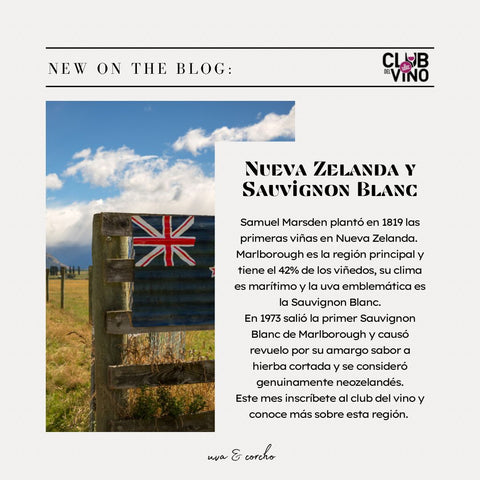 Nueva Zelanda y Suavignon Blanc