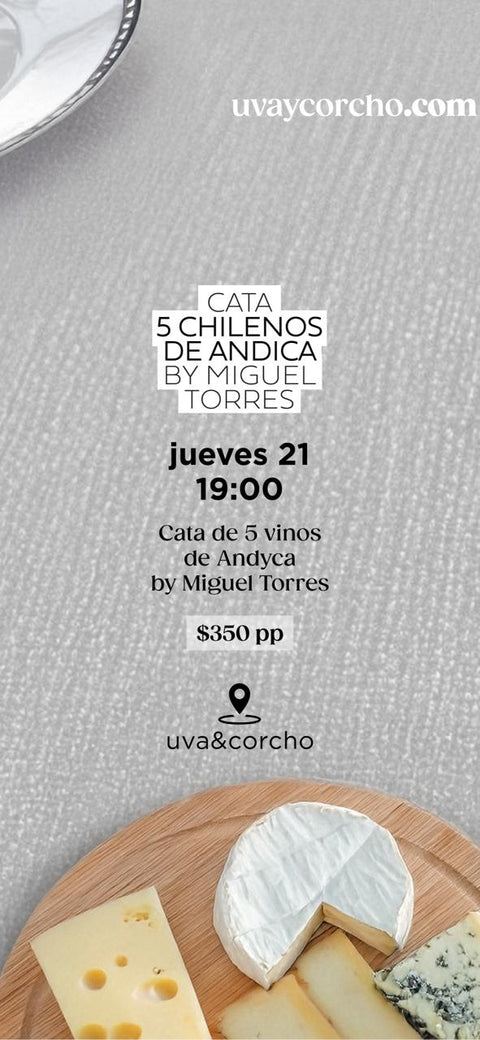 Cata 5 Vinos Chilenos Andica by Miguel Torres . Viernes 21 de Agosto