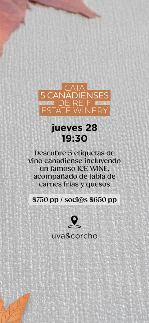 Cata 5 Vinos Canadienses Jueves 28 de Agosto