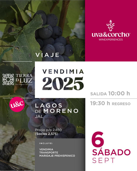 Viaje a Fiestas de la Vendimia en Tierra de Luz - 06 de Septiembre