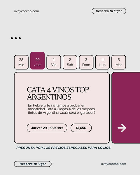 Cata 4 Vinos Top de Argentina. 29-Febrero